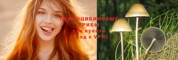 мдпв Магас