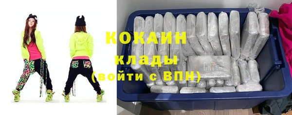 мдпв Магас