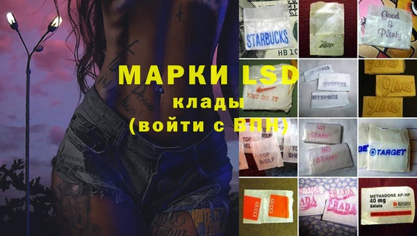 мдпв Магас
