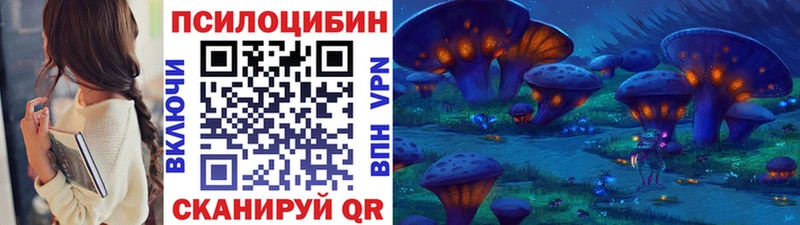 Псилоцибиновые грибы Psilocybe Нарткала