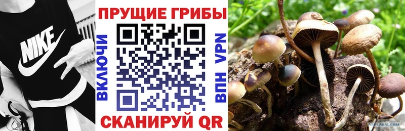 Псилоцибиновые грибы MAGIC MUSHROOMS  купить   Нарткала 