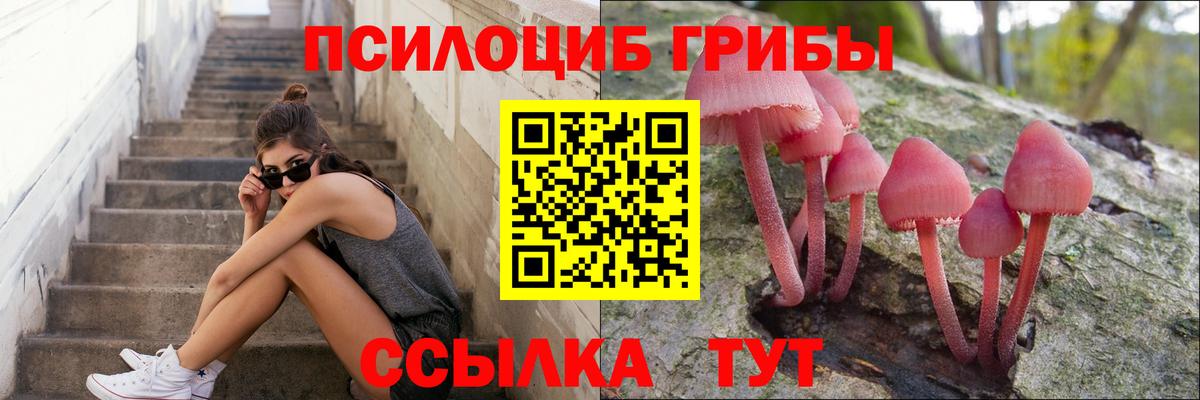 Нарткала  хочу наркоту  Вход с VPN  Галлюциногенные грибы прущие грибы 