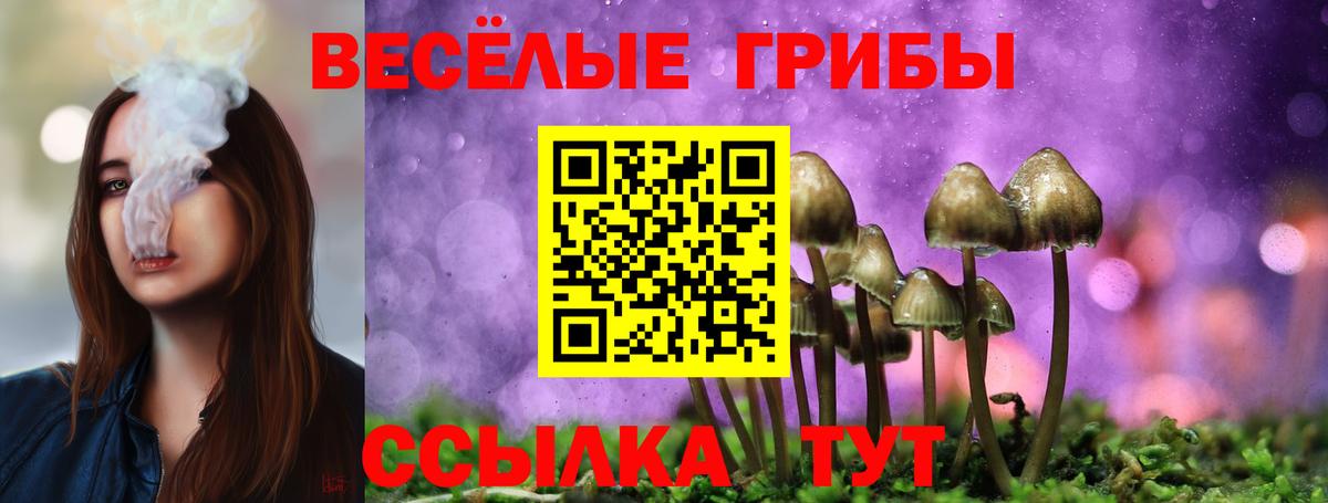 Галлюциногенные грибы GOLDEN TEACHER Нарткала